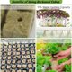 thumbnail image 4 of 72 Juegos De Cubos De Lana De Roca Y Macetas De Red, Absorción De Agua, Altas Tasas De Germinación, Altos Rendimientos De Cultivos, Cubos De Plantación De Lana De Roca De 1, 4 of 8