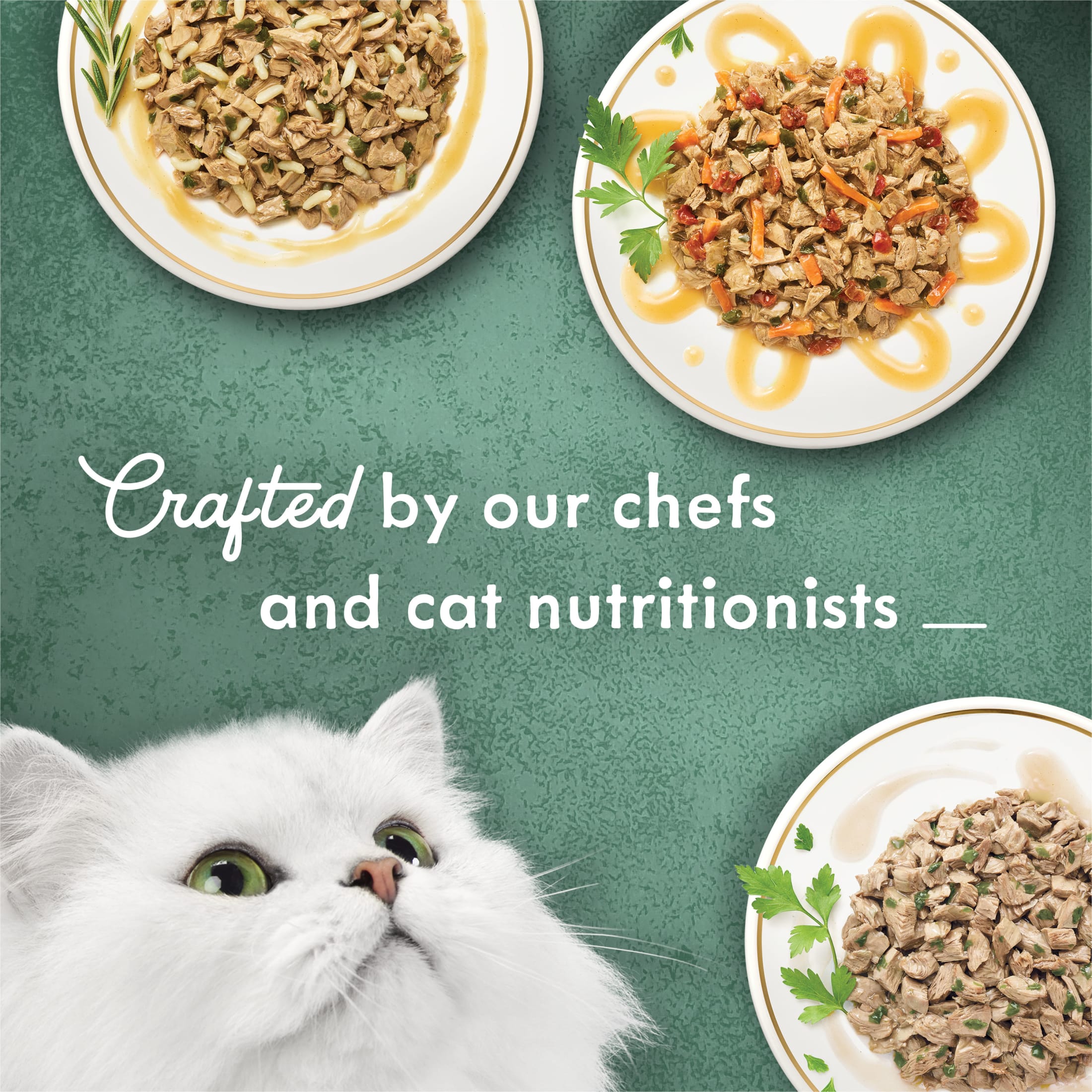 Fancy Feast Medleys White Meat Chicken Variety Collection photo 5