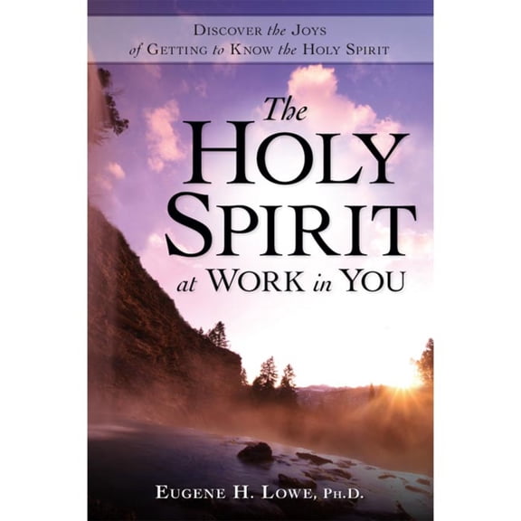 Pre-Owned The Holy Spirit at Work in You: Becoming Intimate with God (Paperback) 0979322790 9780979322792