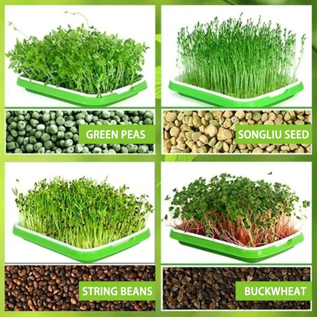 Wuweikeji Hydroponic Microgreens Starter Kit: 2-Layer Plastic Tray (13 x 10.2 x 2 inches) with 10 Paper Sheets - Indoor Sprouting System for Beginners and Advanced Gardeners