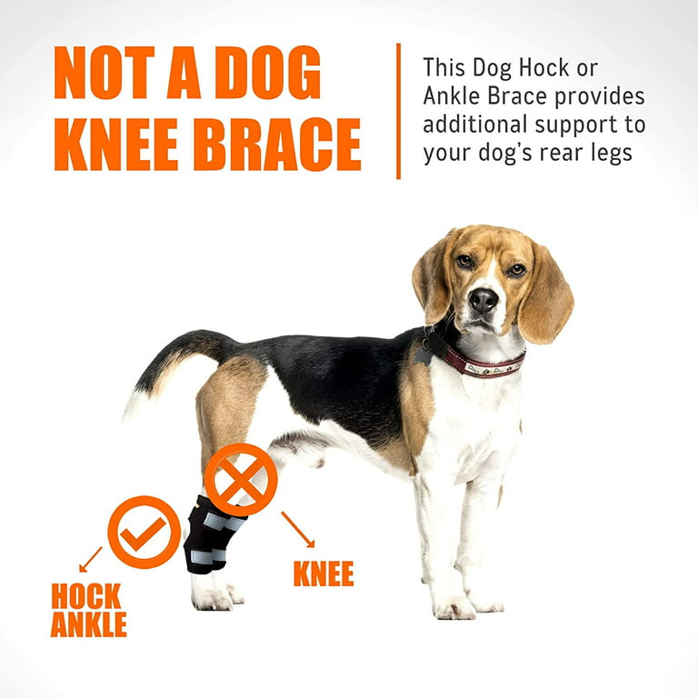 Double Shoulder Brace - Beagle Orthopaedic
