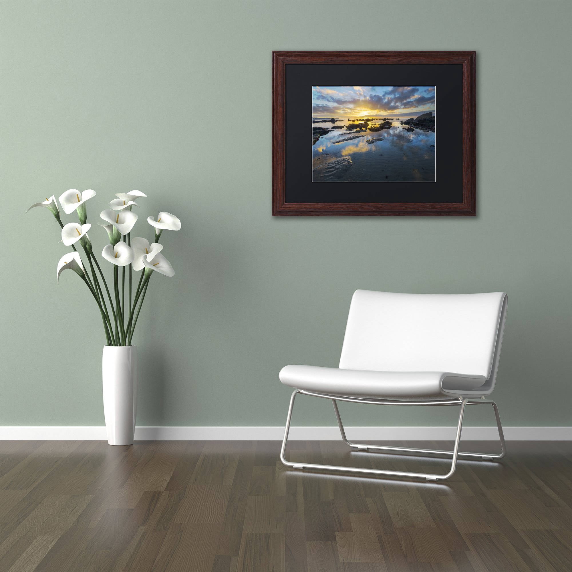 Trademark Fine Art "Nature's Gift" Canvas Art by Mathieu Rivrin, Black Matte, Wood Frame