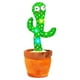 thumbnail image 1 of Cactus Bailarin, Cactus Que Habla y Repite Bluelander Bluelander CBHH-0096, 1 of 3
