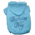 thumbnail image 5 of Birthday Pet Dog  Cat Hoodie Rhinestone, "Birthday Boy", 5 of 9