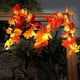 thumbnail image 2 of Guirnalda De Hojas De Arce Con Luces De Cadena LED Para El Hogar Acción De Gracias Navidad Colco  Guirnalda de Otoño Hoja de Arce, 2 of 8