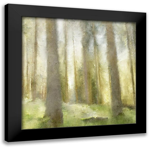 Kimberly, Allen 12x12 Black Modern Framed Museum Art Print Titled - Forest Days