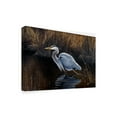 thumbnail image 2 of Trademark Fine Art 'Making Strides Great Blue Heron' Canvas Art by Wilhelm Goebel, 2 of 3