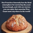 thumbnail image 3 of Cultures for Health, San Francisco Sourdough, 1 Packet, .19 oz (5.4 g), 3 of 8