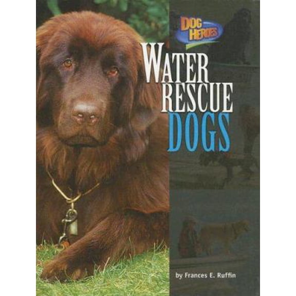 Pre-Owned Water Rescue Dogs (Library Binding) 159716142X 9781597161428