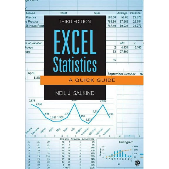 Excel Statistics: A Quick Guide, (Paperback)