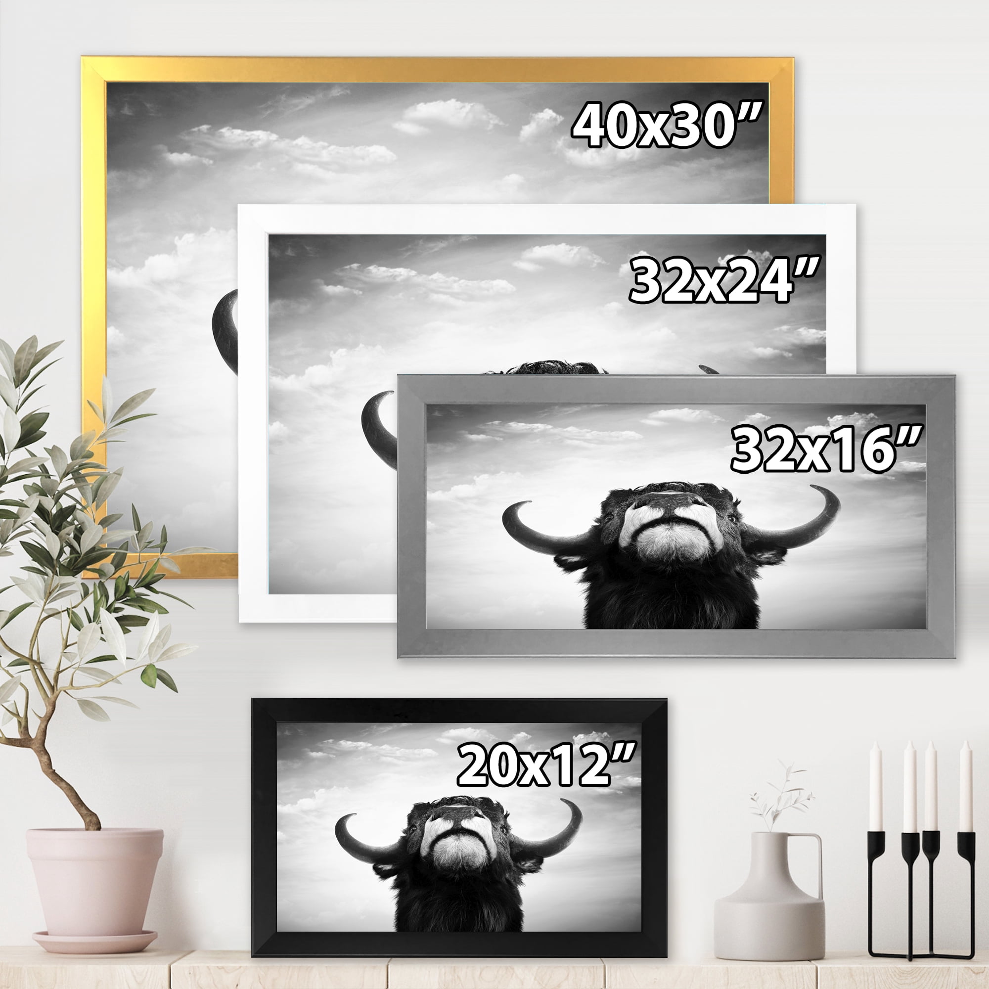 Designart 'Black and White Portrait Of A Spanish Bull I' Farmhouse Framed Art Print