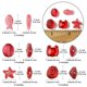 thumbnail image 3 of 25Pcs 5 Style Ocean Themed Transparent Glass Beads Sets Mixed Shapes Dark Red 12~15x8~15x5~9mm Hole: 1mm 5pcs/style, 3 of 6