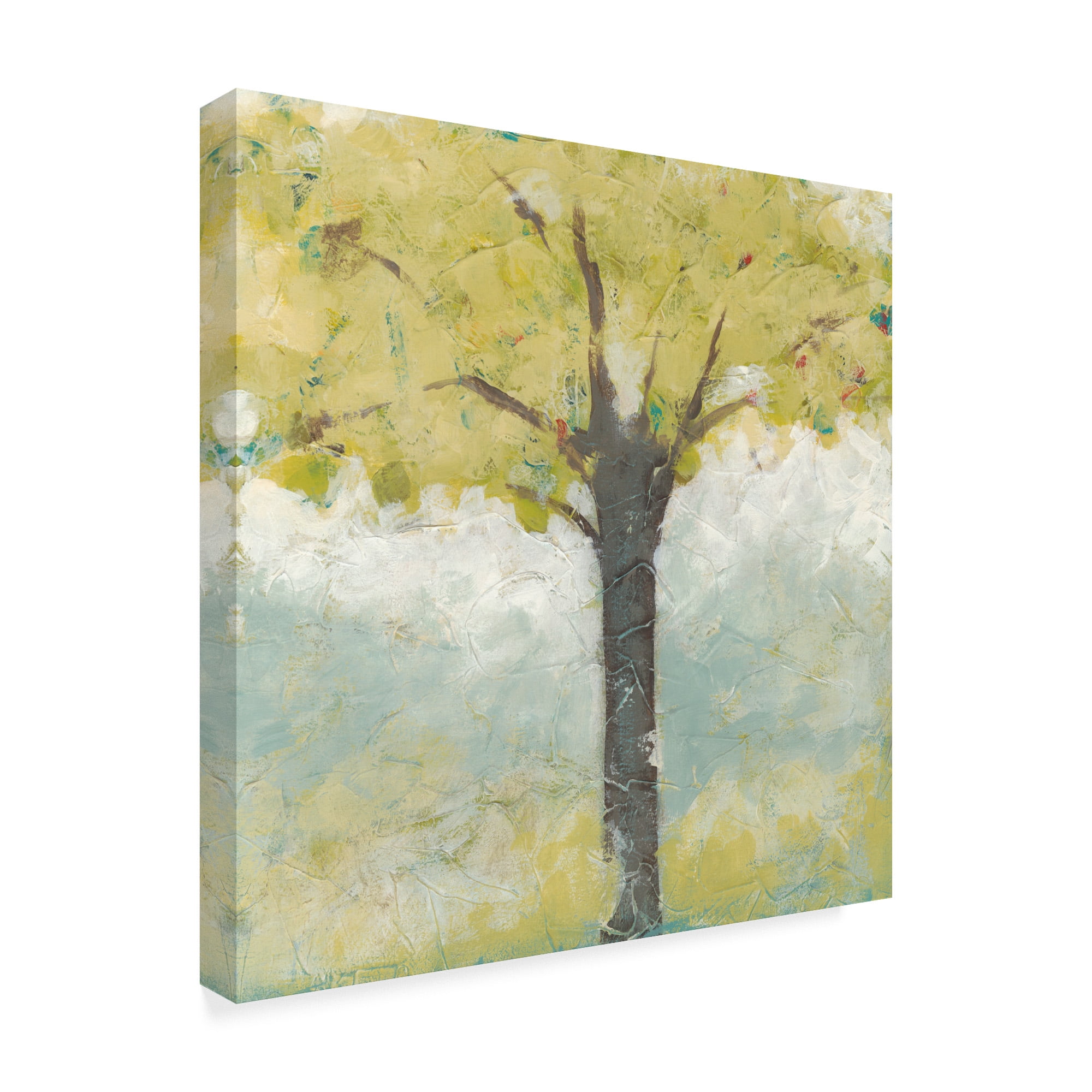 Trademark Fine Art 'Spring Arbor II' Canvas Art by June Erica Vess