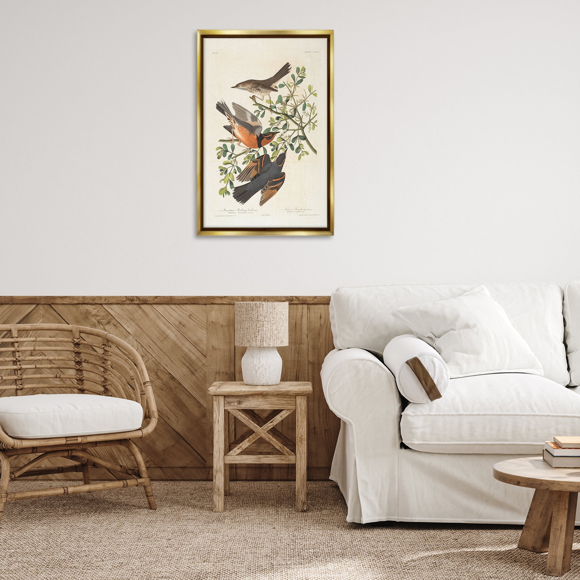 Stupell Industries Classic Audubon Bird Study Animals Painting Gold Floater Framed Canvas Art Print Wall Art, 21 x 31