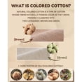 thumbnail image 3 of MecTo Natural Colored Cotton Underwear for Women, 3-Pack Dye-Free Skin-Friendly Briefs Breathable Ladies Panties, 3 of 7
