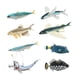 thumbnail image 3 of 8 Uds. Modelos de animales marinos figuras de animales marinos juego de decoración de escritorio juguete de aprendizaje criaturas marinas juguetes, 3 of 9