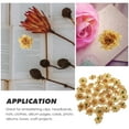 thumbnail image 5 of GETAJGHSD 50pcs Flower Centerpieces for Artificial Flower Decorations with Golden Fabric Embellishments for Crafting, 5 of 6