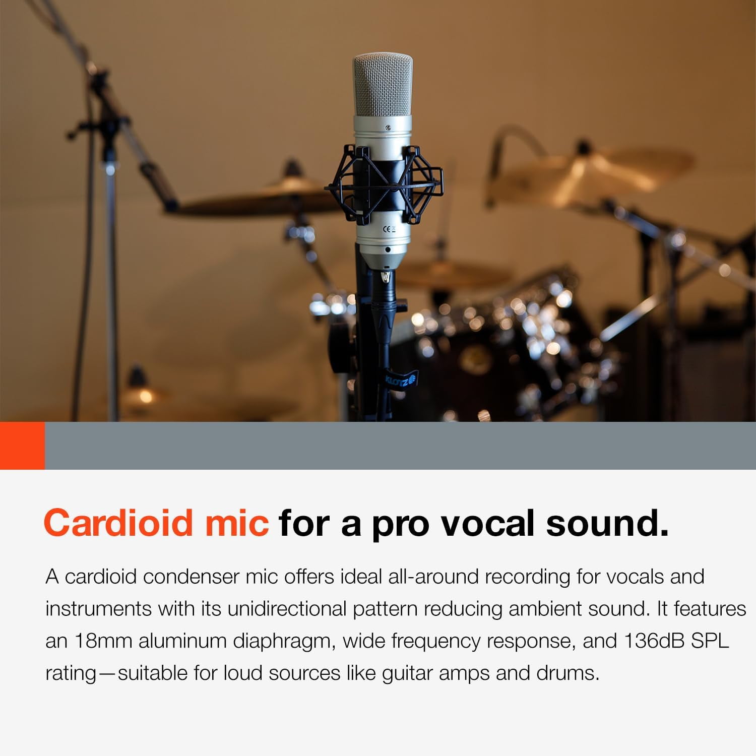 TM-80 Large Diaphragm Condenser Microphone Silver for Home Recording Streaming Singing