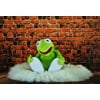 LAMINATED POSTER Stuffed Animal Frog Soft Toy Funny Kermit Poster Print 24 x 36