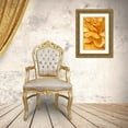 thumbnail image 3 of Poelstra-Holzhaus, Yvonne 23x32 Gold Ornate Wood Framed with Double Matting Museum Art Print Titled - Magnificant Flower I, 3 of 4