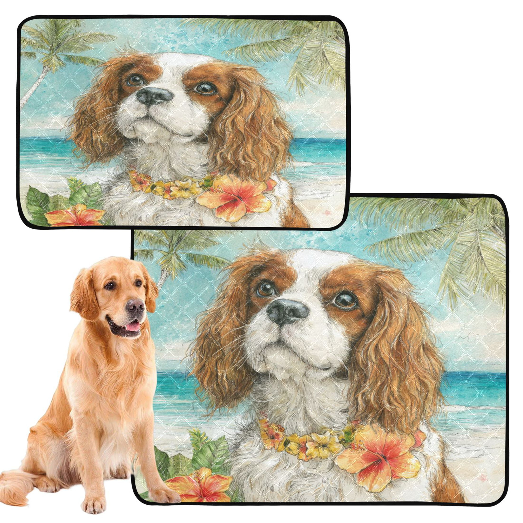 Qxltty Cavalier King Charles Spaniel Dog Cat litter Pads Pet Set of 3 Diaper Mats Center Anti-leakage Layer Absorbent Soft and Comfortable