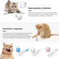 thumbnail image 4 of Pelota De Juguetes Gato Perro Automática Interactiva Usb WD.WDQZL Juguetes, 4 of 5
