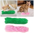 thumbnail image 1 of Juguete para gatos con hierba gatera, masticable, juguete de entrenamiento duradero Fernando Juguetes de hierba gatera para gatos, 1 of 8