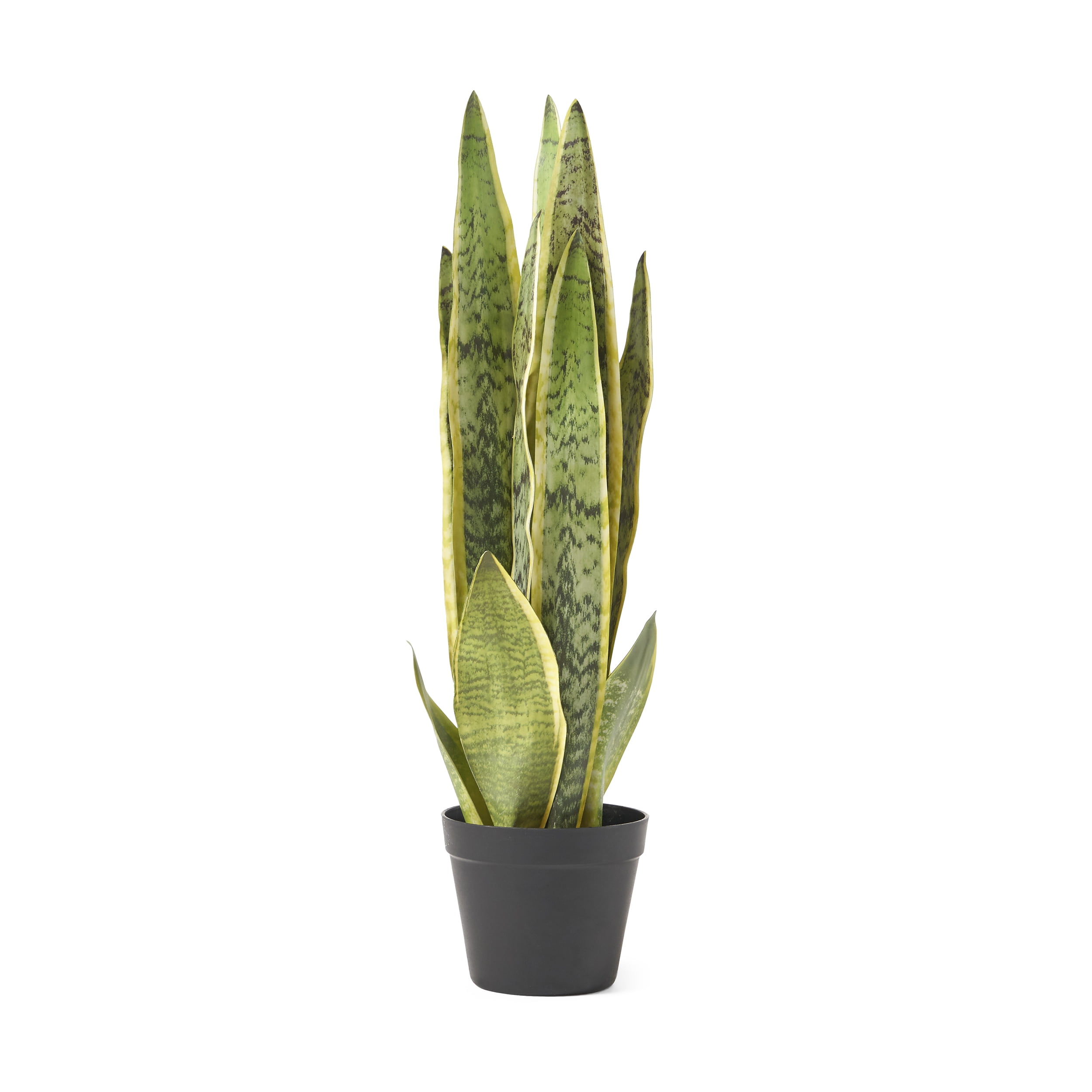Morrow 2 Artificial Tabletop Snake Plant Green Walmart Com Walmart Com