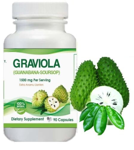 GRAVIOLA EXTRACT 1500 mg Guanabana Soursop Immune Antioxidant 90 ...