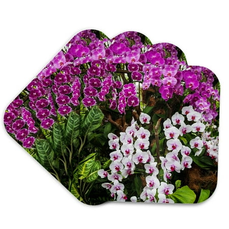 3drose, Orchids at the National Orchid Garden, Singapore., Set of 4 Coasters - Cork