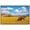 WHITE, variant on wall26 Framed Canvas Print Wall Art Montana Mountain Cloudy Valley Bison Buffalo Nature Animals Photography Realism Rustic Scenic Landscape Colorful for Living Room, Bedroom, Office - 16"x24&quo