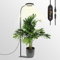 thumbnail image 1 of Grow Light GLOWRIUM LED de espectro completo de 20 W con temporizador de 63 pulgadas, 1 of 7