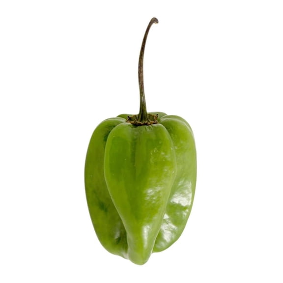 Chile habanero por kilo