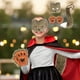 thumbnail image 5 of HWRETIE - Conjunto de orejas y guantes con clip de cola de lobo y zorro,accesorios para disfraces de Halloween y Navidad,regalo para mujeres,disfraces de festival, 5 of 6