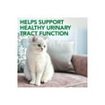 thumbnail image 2 of Vet's Best Urinary Tract Support Supplements for Cats - 60 Chewable Tablets, 2 of 9