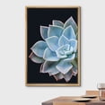 thumbnail image 2 of wall26 Framed Canvas Print Wall Art Close Up Vibrant Blue Rose Succulent Cactus Nature Wilderness Photography Realism Floral Botanical Multicolor for Living Room, Bedroom, Office - 16"x24", 2 of 5