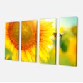 thumbnail image 2 of Beautiful Sunflowers Blooming - Large Animal Canvas Art Print, 2 of 3