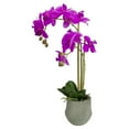 thumbnail image 3 of Northlight Real Touch™️ Purple Artificial Orchid Plant with a Gray Stone Pot - 14", 3 of 8