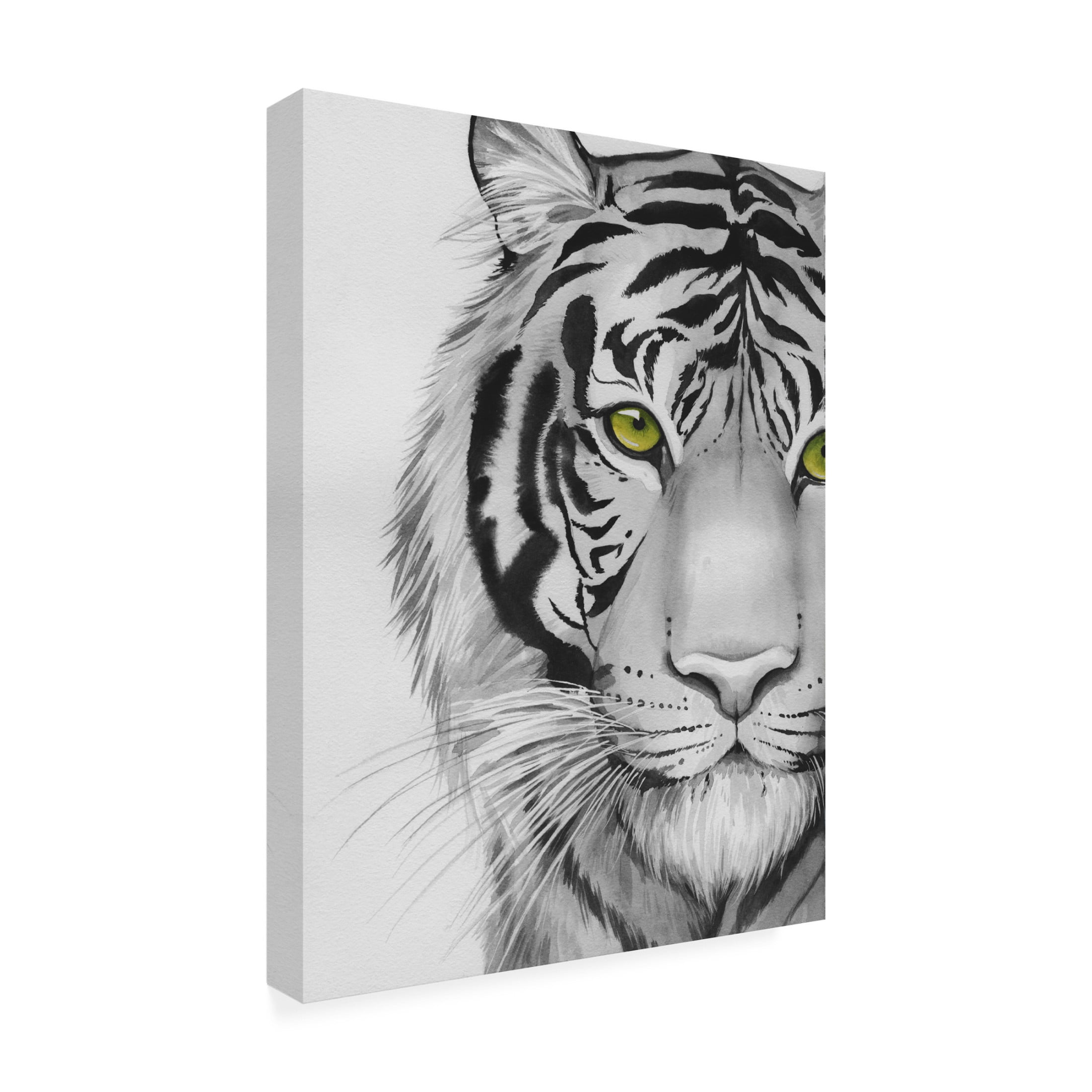 Trademark Fine Art Grace Popp Snow Tigre II Canvas Wall Art