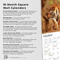 thumbnail image 5 of Magnificent Tigers | 2024 12x24" (Hanging) Wall Calendar | StarGifts, 5 of 8
