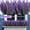 Purple, variant on 12 Bundles Artificial Flowers, Artificial Lavender Flowers Fake Plastic Lavender Plants Stems Bouquet for Home Decor, Wedding, Kitchen, Garden Patio, Office Table, Indoor Outdoor Decorations