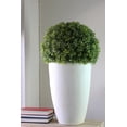 thumbnail image 4 of Northlight 27" Boxwood Artificial Plant Potted in Ceramic Pot - Green/White, 4 of 4
