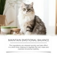 thumbnail image 4 of Cat Snack Chewable Tablets Daily Cat Nutrition and Emotional Care Chicken Flavored Snack Tablets, 4 of 5