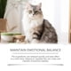thumbnail image 4 of Cat Snack Chewable Tablets Daily Cat Nutrition and Emotional Care Chicken Flavored Snack Tablets, 4 of 5