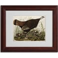 thumbnail image 2 of Trademark Fine Art "Great American Hen and Young" Canvas Art by John James Audubon, Wood Frame, 2 of 3