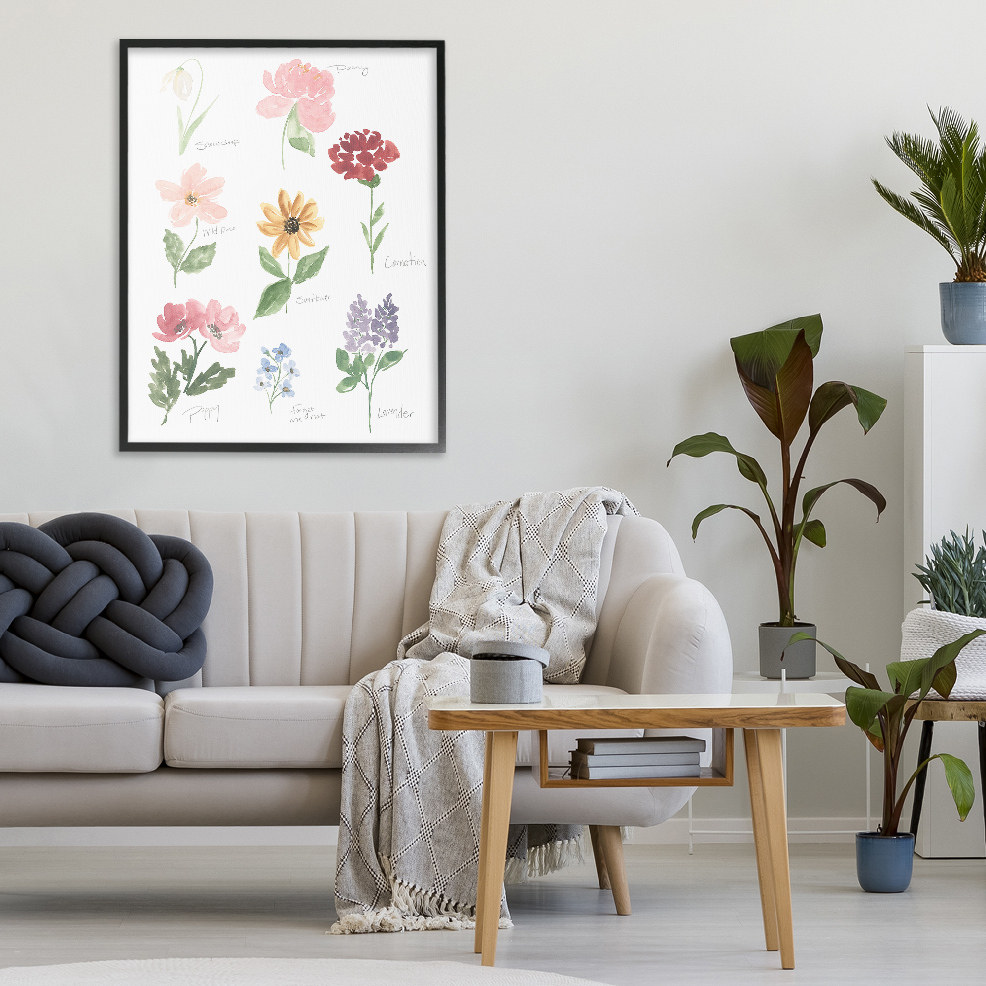 Stupell Industries Labeled Flower Varieties Black Framed Giclee Art, design by Lucille Price