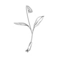thumbnail image 3 of Villa, Mlli 19x24 Black Modern Framed Museum Art Print Titled - Clean Flowers Mate, 3 of 5
