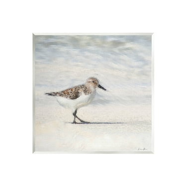 Stupell Industries Sandpiper Bird Stepping Beach Sand Graphic Art Unframed Art Print Wall Art, Design by Denise Brown