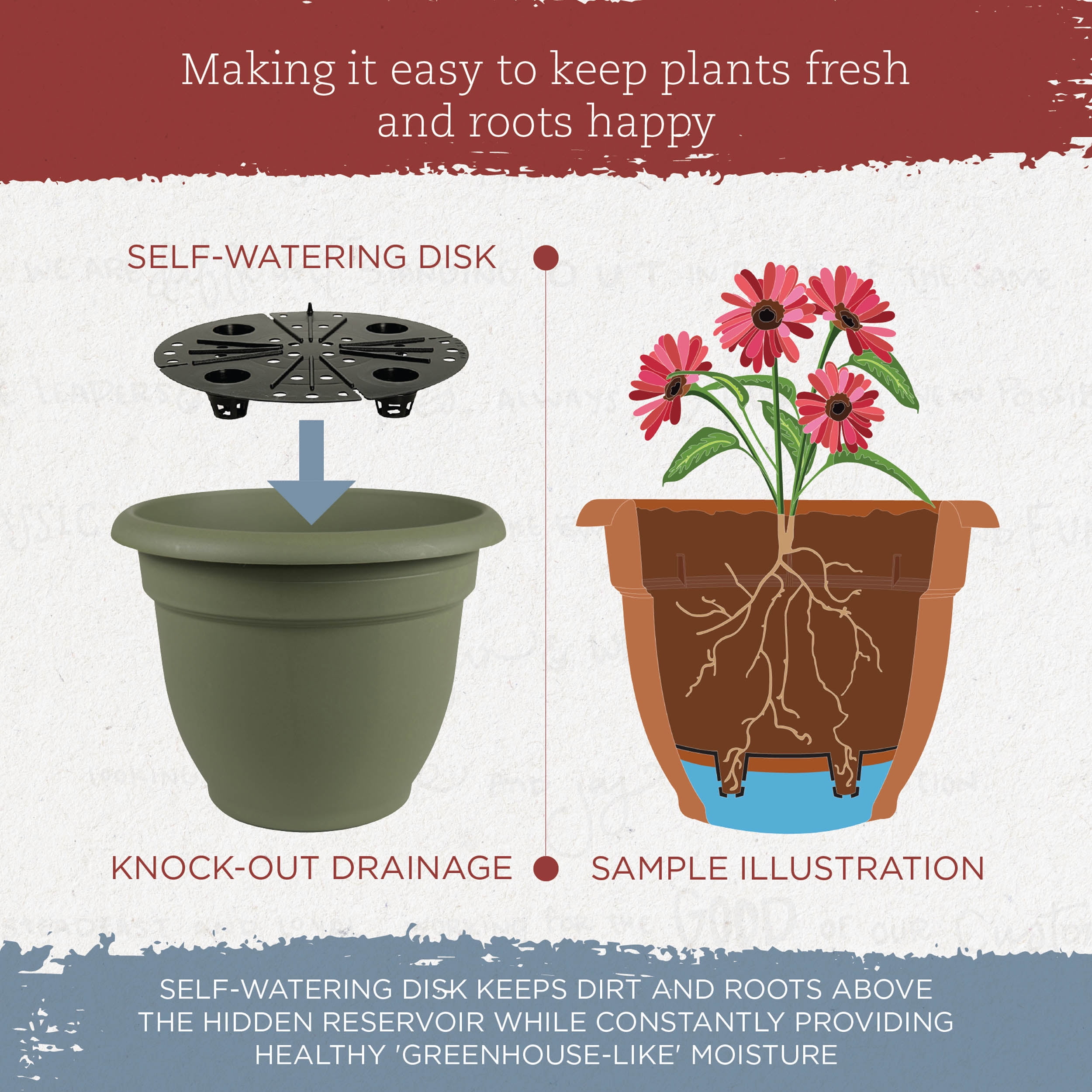 Bloem 10-in Ariana Self Watering Plastic Planter - Living Green