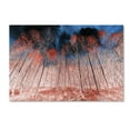 thumbnail image 2 of Trademark Fine Art "First Show" Canvas Art by Philippe Sainte-Laudy, 2 of 4